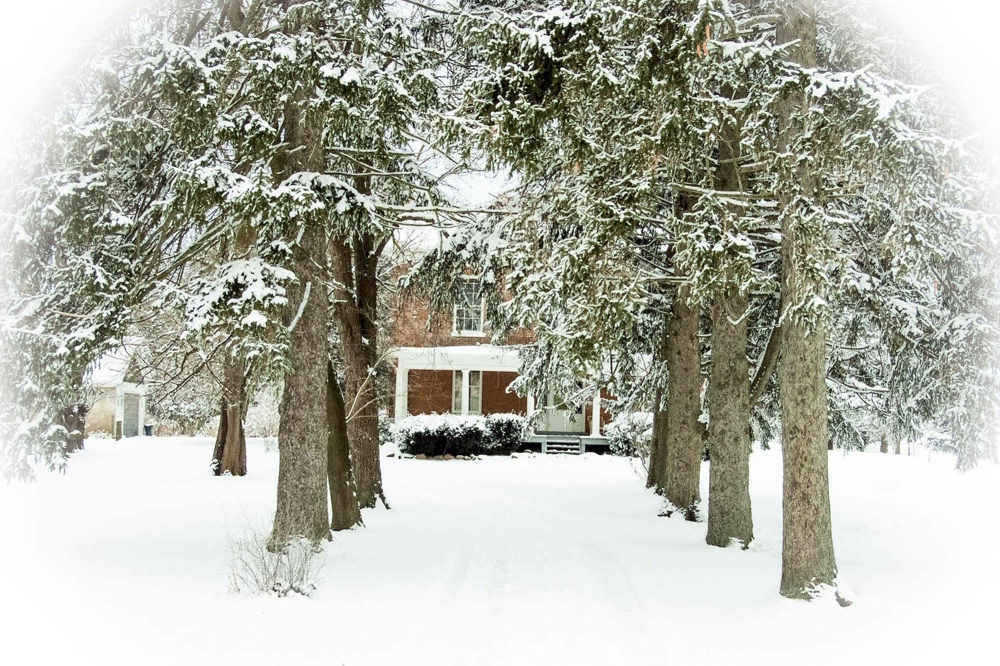 Culverdene House Simcoe Exterior photo